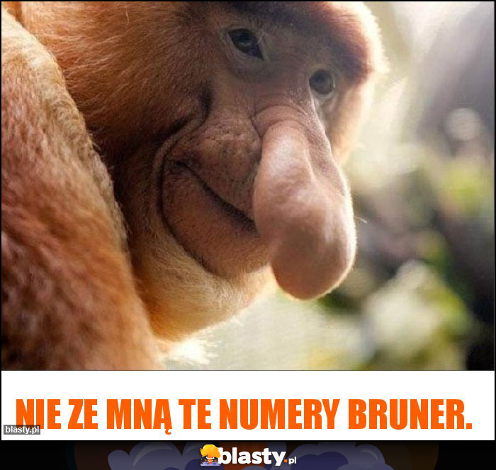 Nie ze mną te numery Bruner.