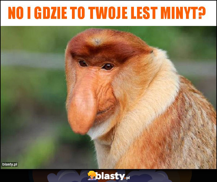 NO I GDZIE TO TWOJE LEST MINYT?