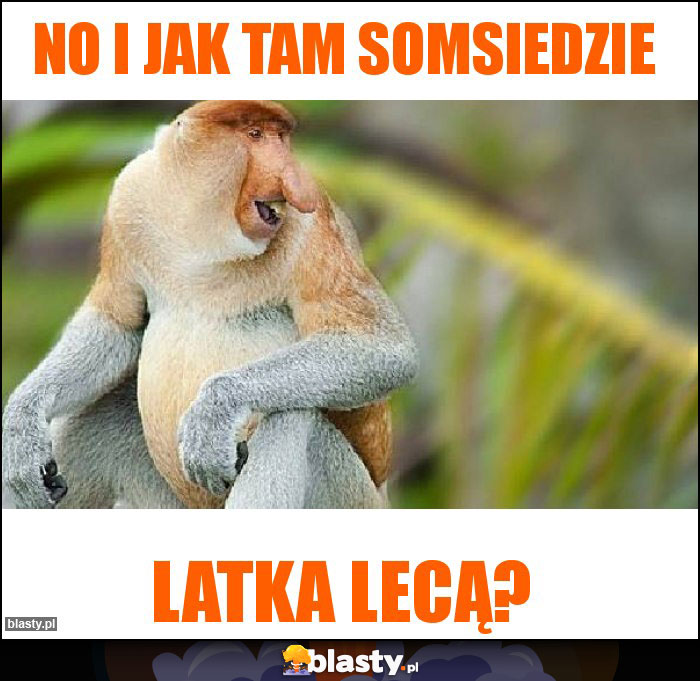 No i jak tam Somsiedzie