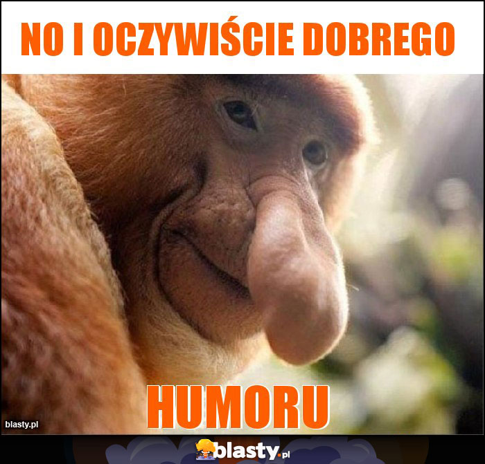 No i oczywiście dobrego