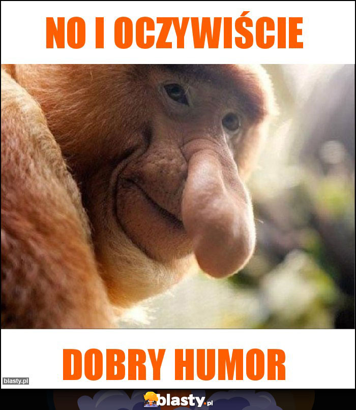 No i oczywiście