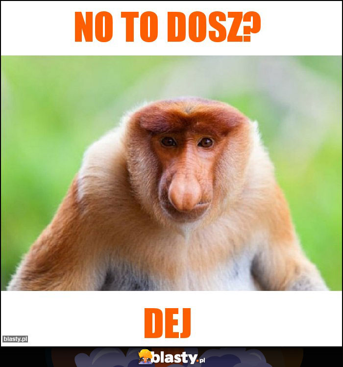 No to dosz?