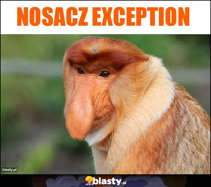 Nosacz exception