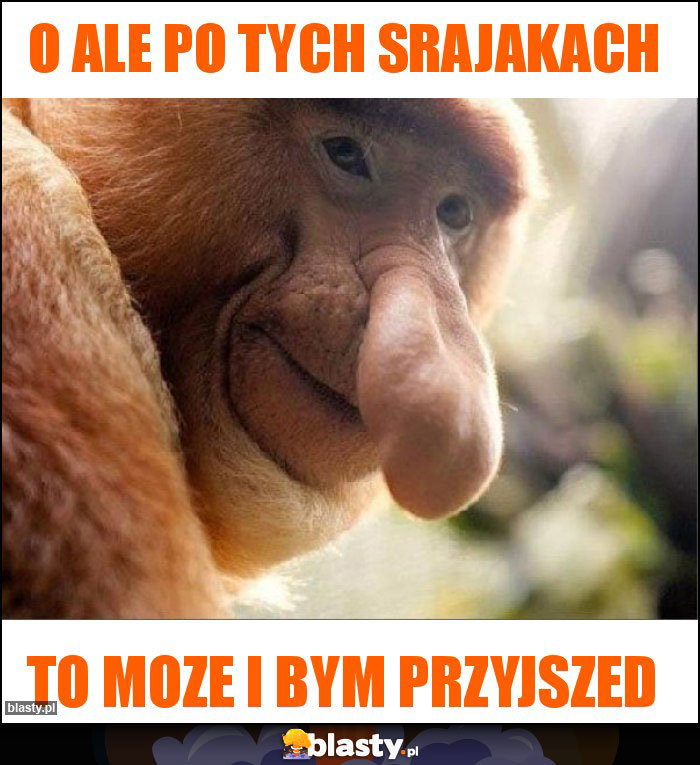 O ale po tych srajakach