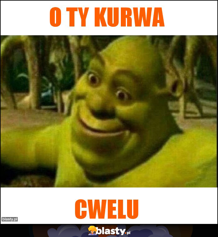 o ty kurwa