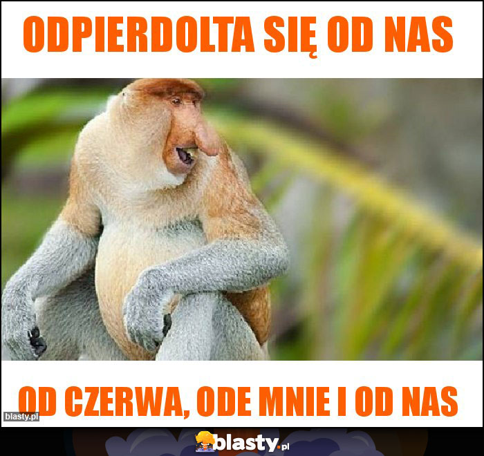 Odpierdolta się od nas