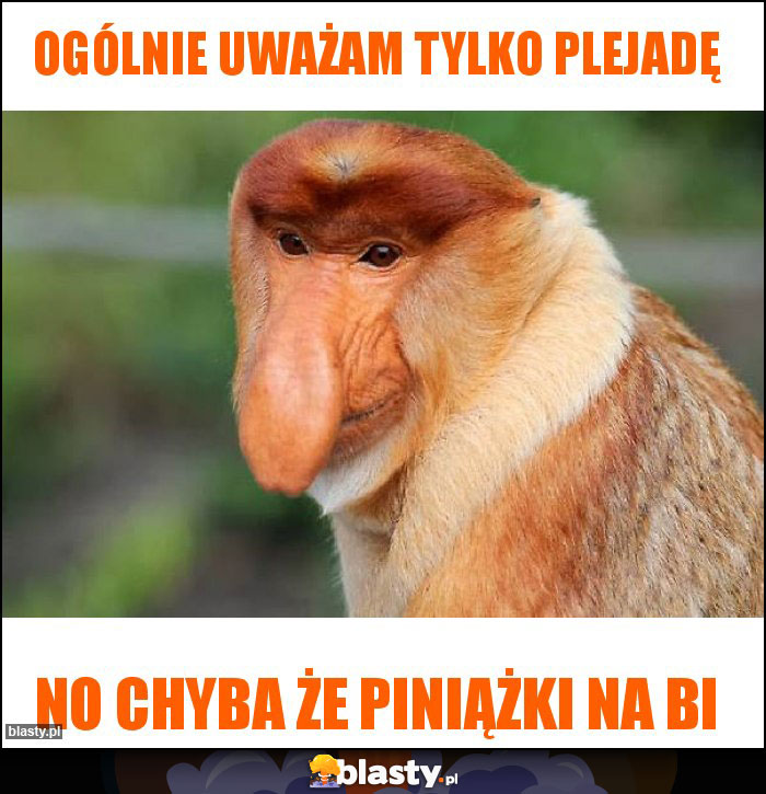 ogólnie uważam tylko plejadę