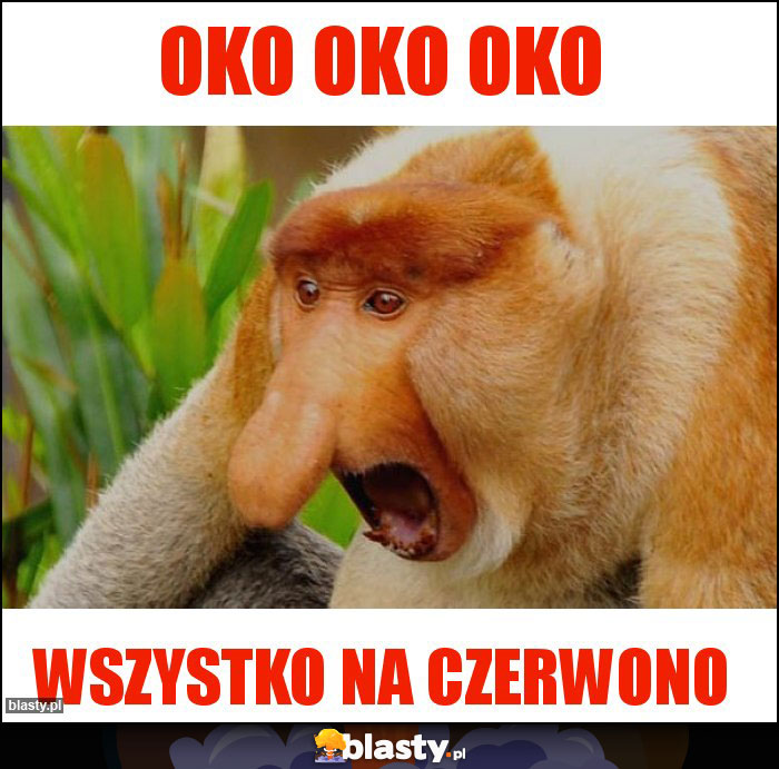 OKO OKO OKO