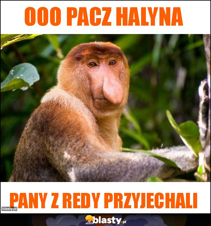 Ooo pacz Halyna