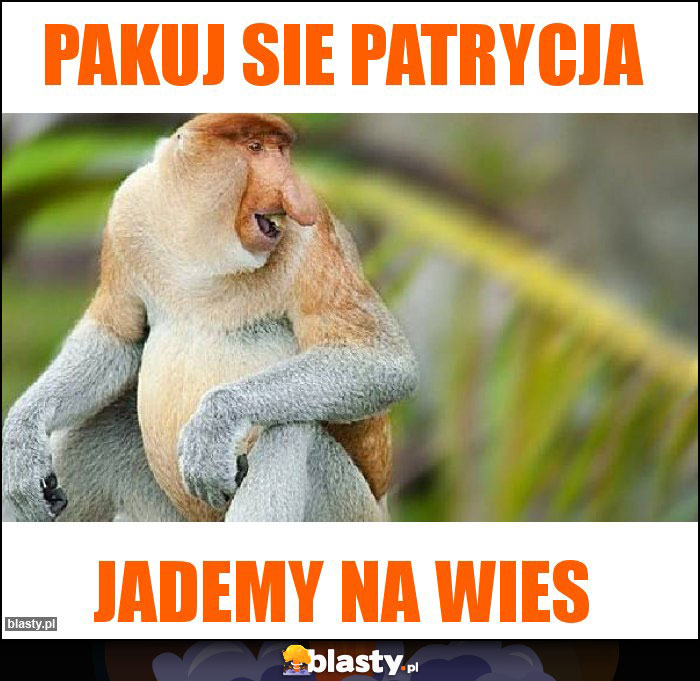 Pakuj sie patrycja