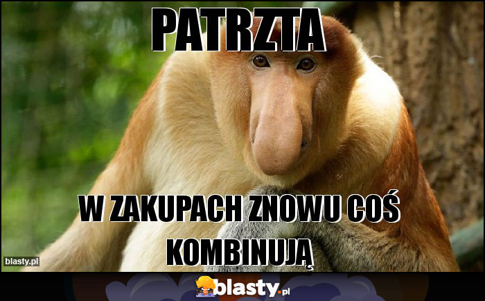 Patrzta