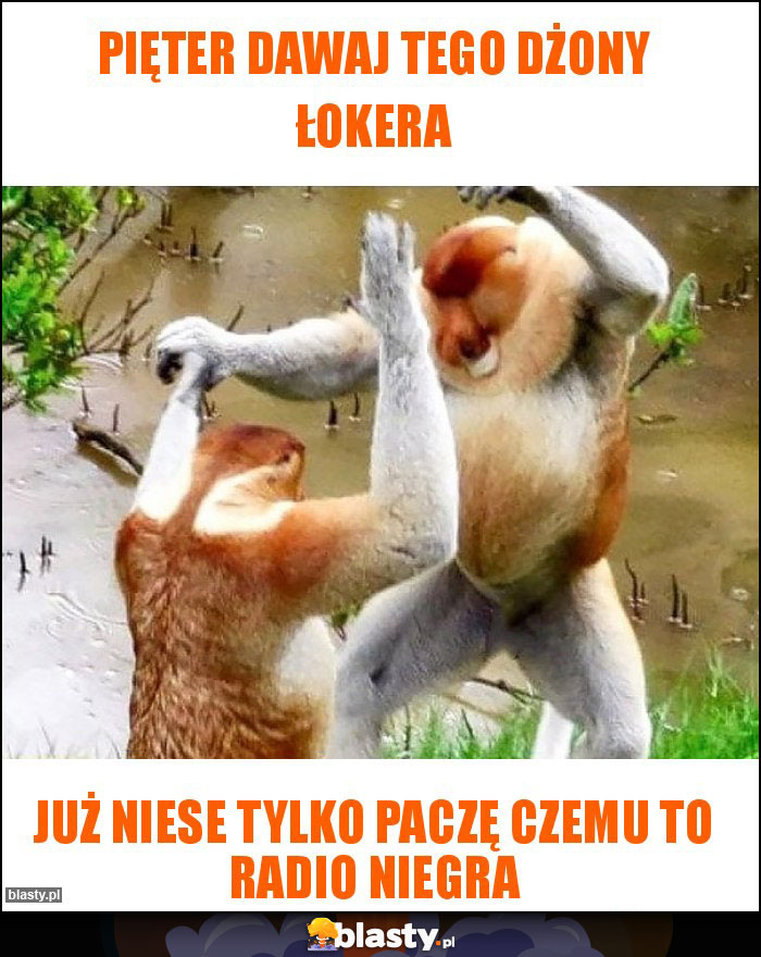 Pięter dawaj tego dżony łokera