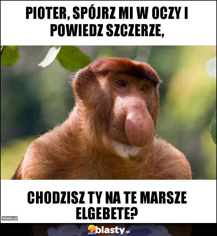 Pioter, spójrz mi w oczy i powiedz szczerze,