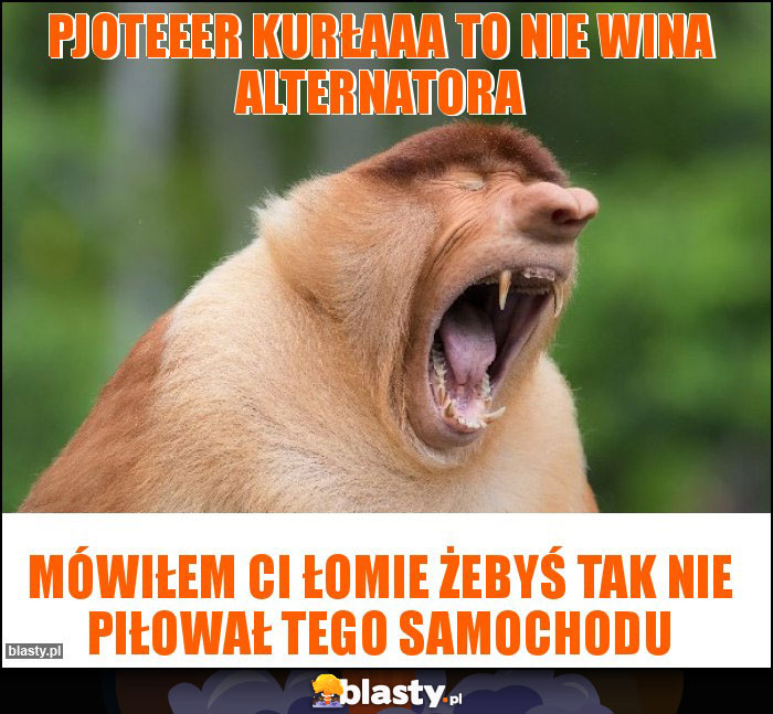 Pjoteeer kurłaaa to nie wina alternatora