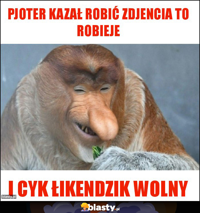 Pjoter kazał robić zdjencia to robieje