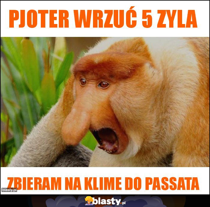 Pjoter wrzuć 5 zyla