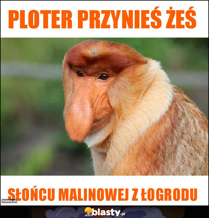 Ploter przynieś żeś