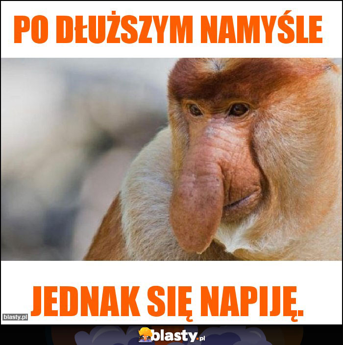 Po dłuższym namyśle