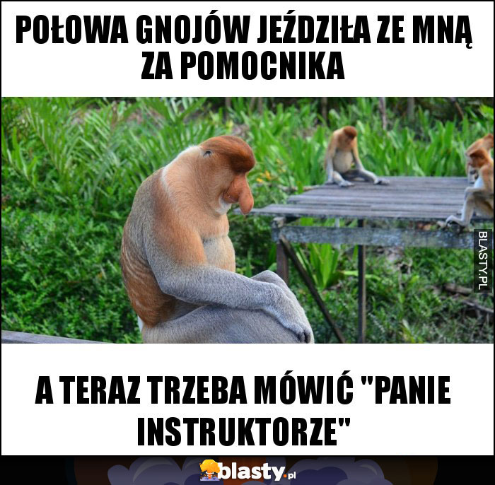 Połowa gnojów jeździła ze mną za pomocnika