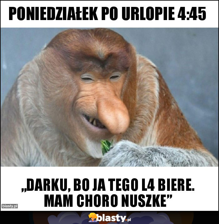 Poniedziałek po urlopie 4:45