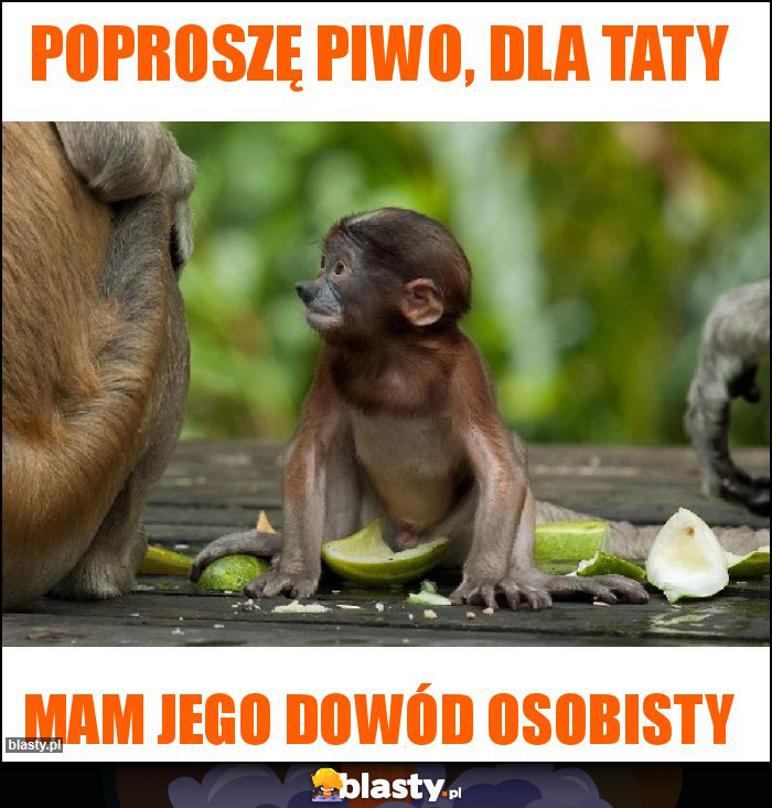 Poproszę piwo, dla taty