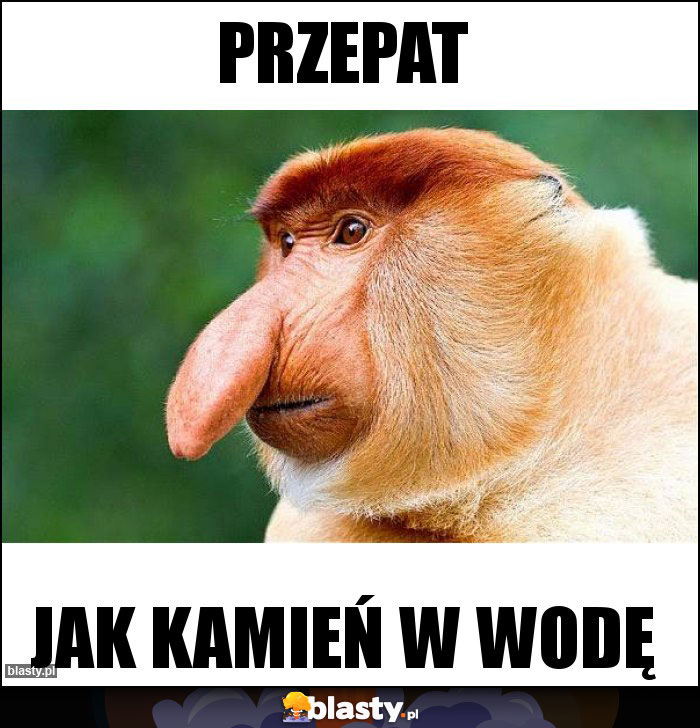 PRZEPAT