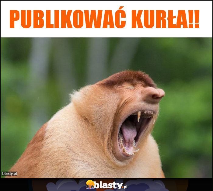 Publikować kurła!!