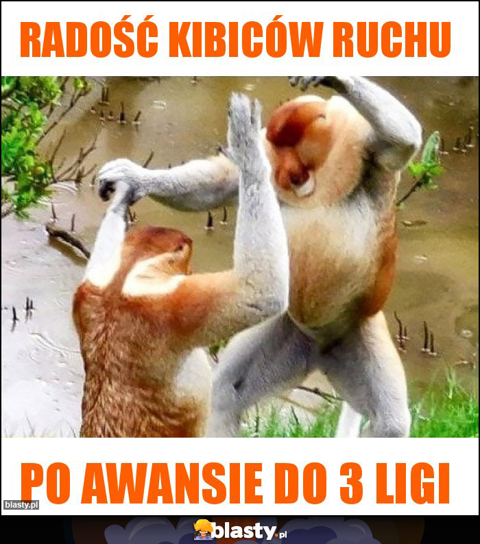 Radość kibiców ruchu