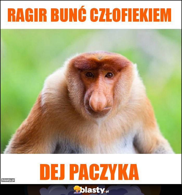 ragir bunć człofiekiem