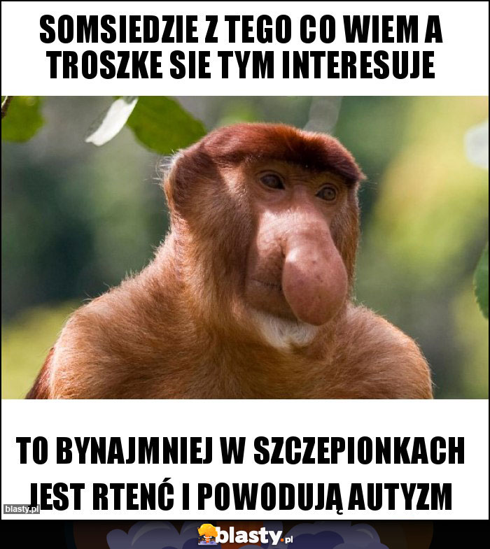 SOMsiedzie z tego co wiem a troszke sie tym interesuje