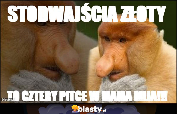 STODWAJŚCIA ZŁOTY