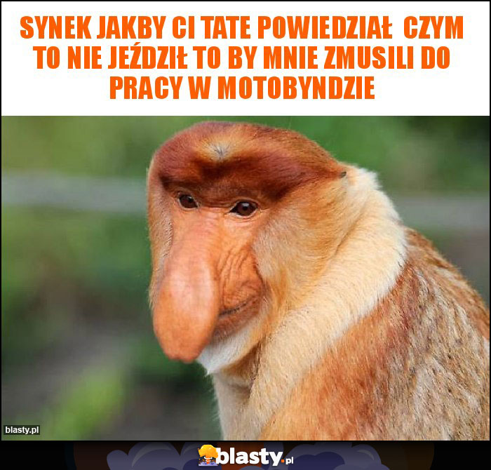 Synek jakby ci tate powiedział  czym to nie jeździł to by mnie zmusili do pracy w motobyndzie