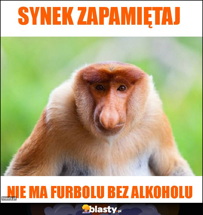 Synek zapamiętaj