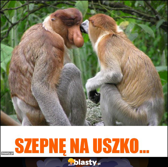 Szepnę na uszko...