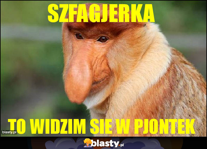 szfagjerka