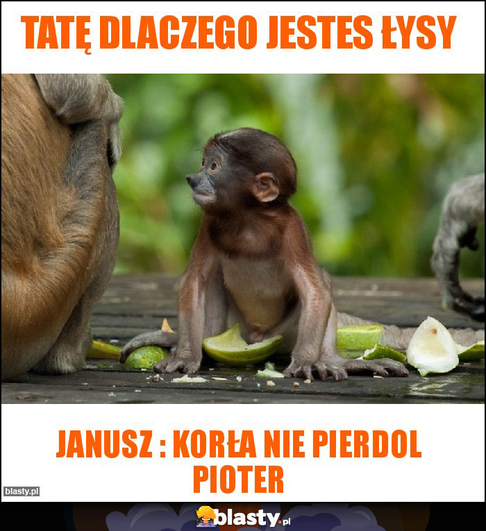 Tatę dlaczego jestes łysy