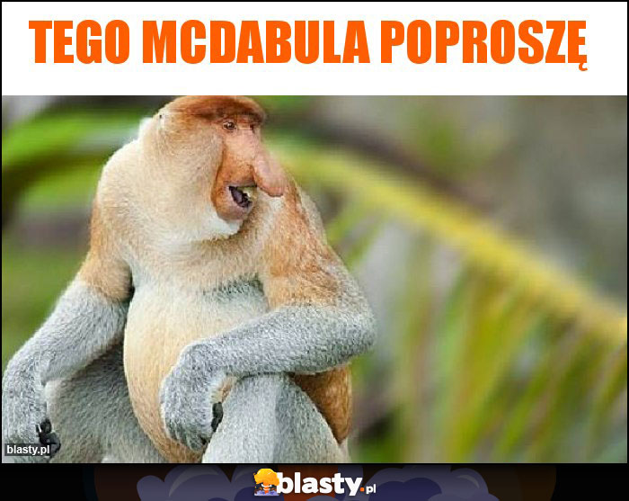 Tego mcdabula poproszę