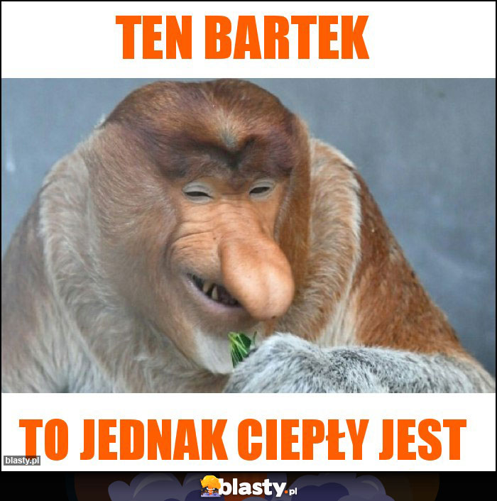 Ten Bartek