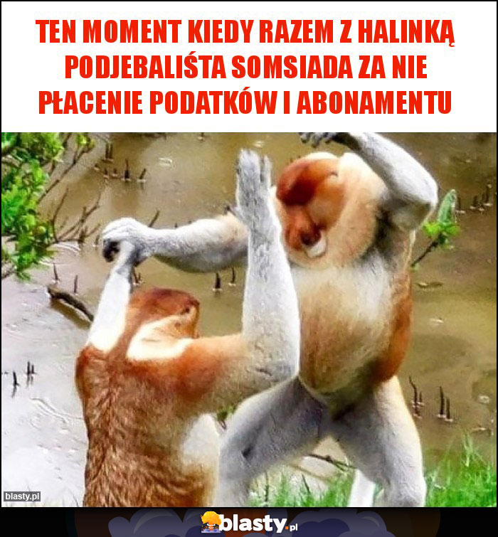 Ten moment kiedy razem z halinką podjebaliśta somsiada za nie płacenie podatków i abonamentu