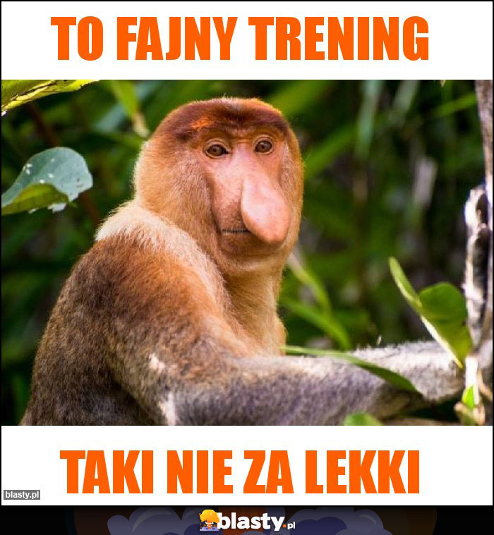 to fajny trening