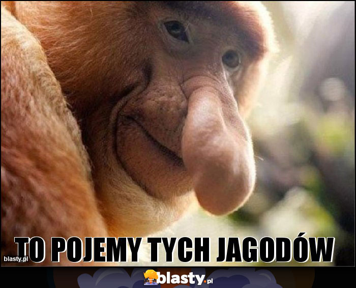 TO POJEMY TYCH JAGODÓW