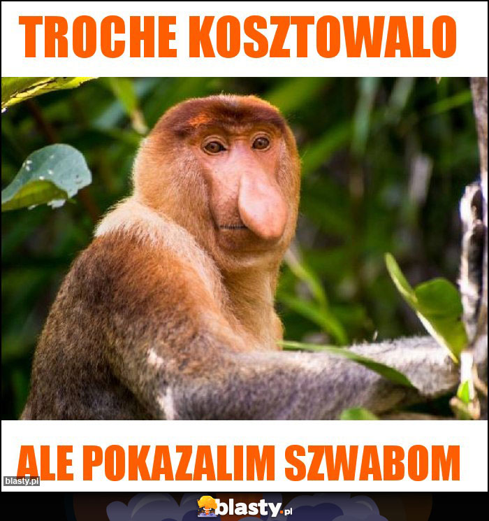 troche kosztowalo