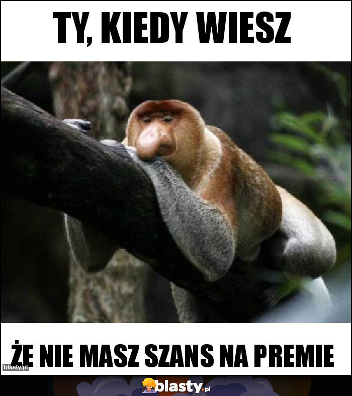 ty, Kiedy wiesz