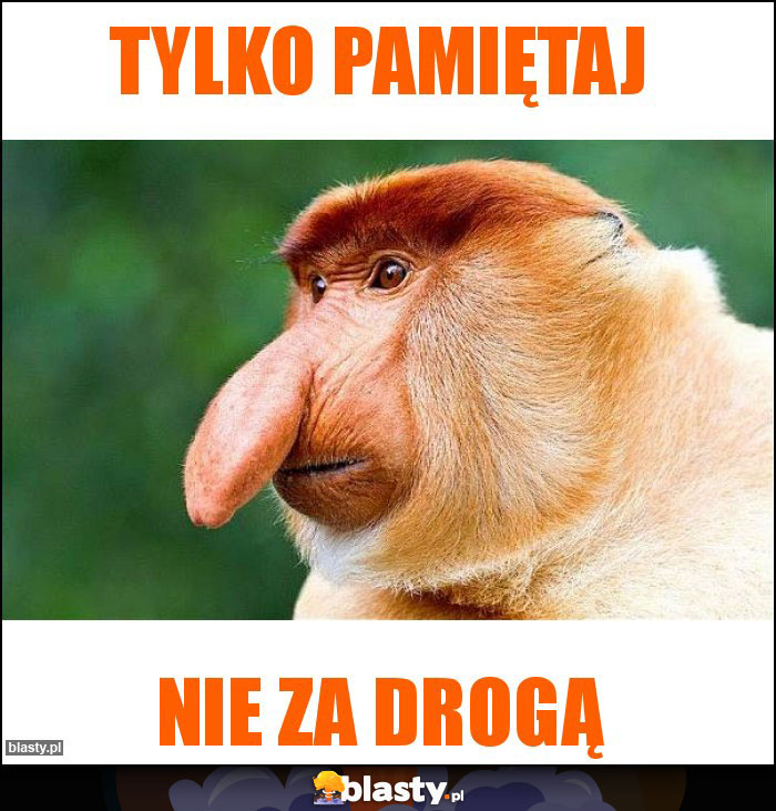 tylko pamiętaj