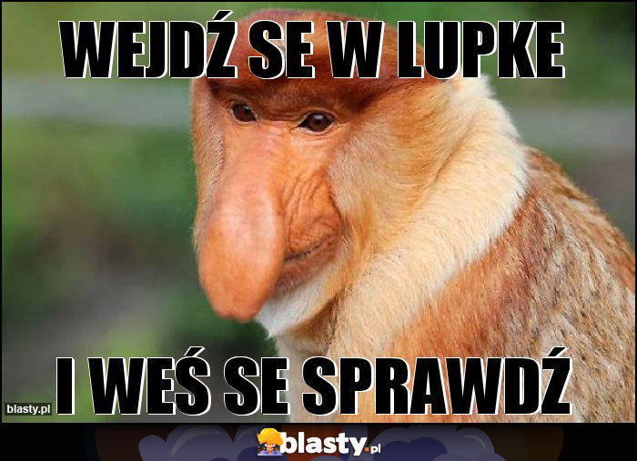 wejdź se w lupke