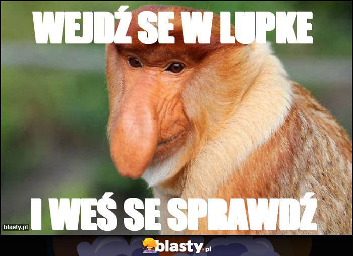 wejdź se w lupke