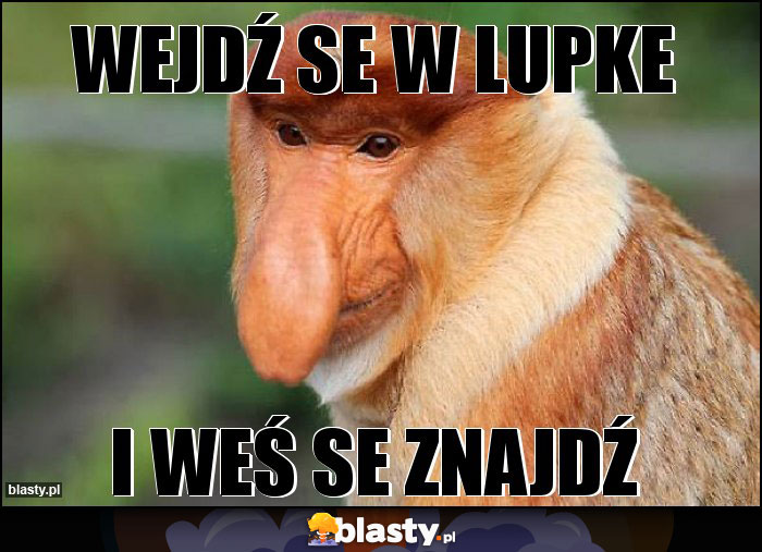 Wejdź se w lupke