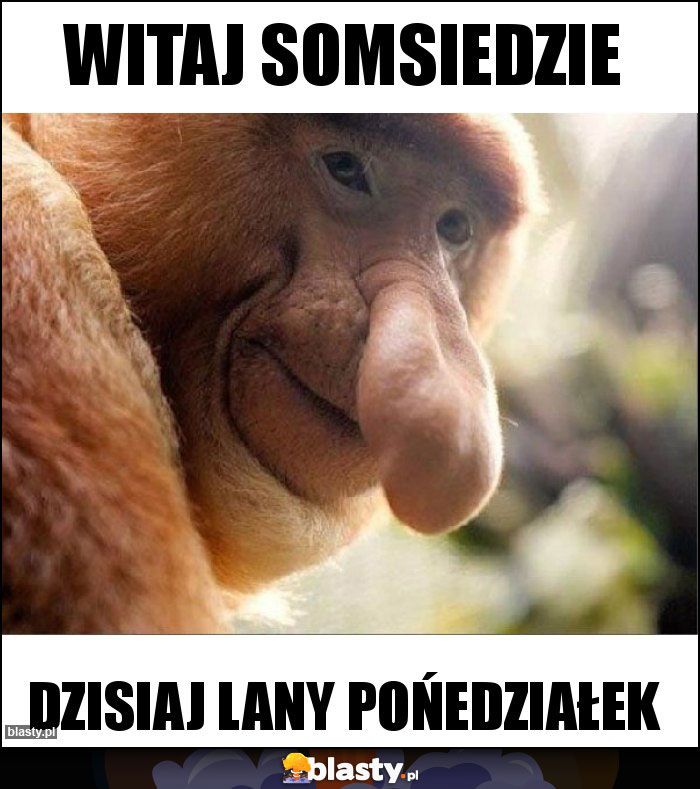 WITAJ SOMSIEDZIE