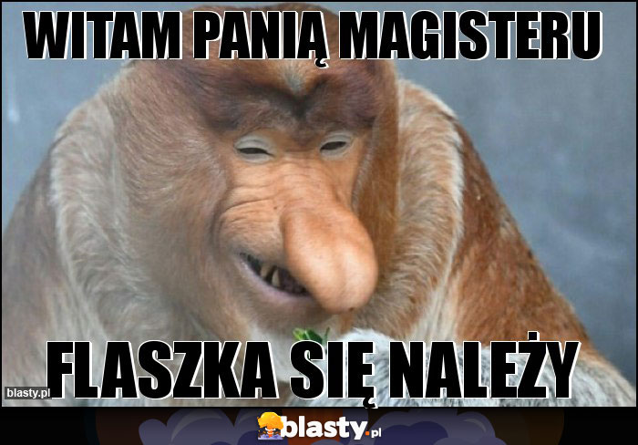 Witam panią magisteru