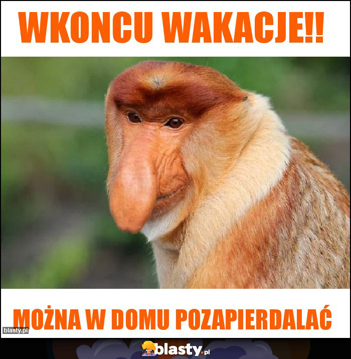 Wkoncu WAKACJE!!